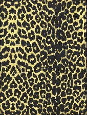 Verso de (AUT) Benoit, Ted -TT1- La peau du léopard