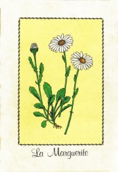 Verso de Titi (Poche) -67- Aquarium, à quoi ça sert ?