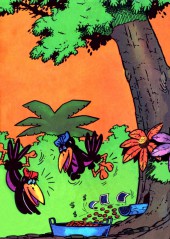 Verso de Bambou (Impéria) -80- Gare au fisc!