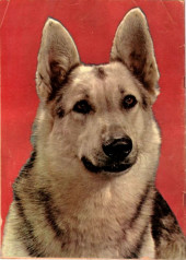 Verso de Four Color Comics (2e série - Dell - 1942) -476- Rin Tin Tin