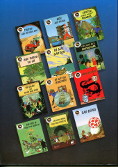 Verso de Tintin (en langues étrangères) -19Vietnamien- Ca map vùng hong hai
