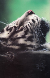 Verso de Animal Mystic Water Wars (1996) -4- Animal Mystic Water Wars #4