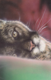 Verso de Animal Mystic Water Wars (1996) -5- Animal Mystic Water Wars #5