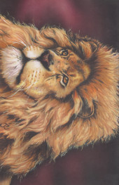 Verso de Animal Mystic Water Wars (1996) -6- Animal Mystic Water Wars #6