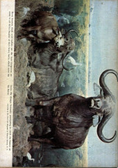 Verso de Tarzan (1948) -24- Issue # 24