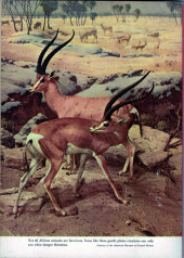 Verso de Tarzan's Jungle Annual -41955- Issue # 4