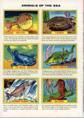 Verso de Four Color Comics (2e série - Dell - 1942) -1119- Smokey the Bear - Nature stories