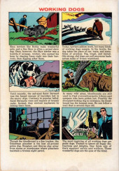 Verso de Four Color Comics (2e série - Dell - 1942) -1189- Walt Disney's Greyfriars Bobby