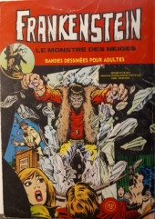 Verso de Frankenstein (Arédit - Comics Pocket) -Rec03- Album N°3122 (n°5 et n°6)