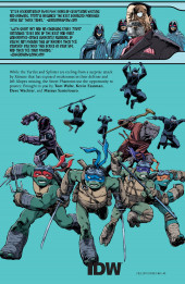 Verso de Teenage Mutant Ninja Turtles (2011) -INT16- Chasing Phantoms