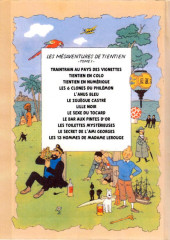Verso de Tintin - Pastiches, parodies & pirates -2004- La biographie interdite de Tientien - Tome 1 - descente en règle de 3