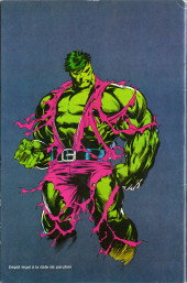 Verso de Hulk (6e Série - Semic - Marvel Comics) -22- La Chute du Panthéon