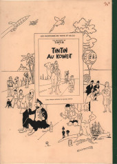 Verso de Tintin - Pastiches, parodies & pirates -1995'- Tintin en Syldavie