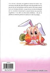 Verso de Les ailes du phénix -1- Tome 1