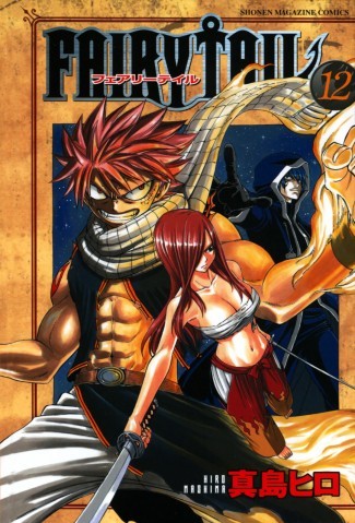 Couverture de Fairy Tail (en japonais) -12- Volume 12