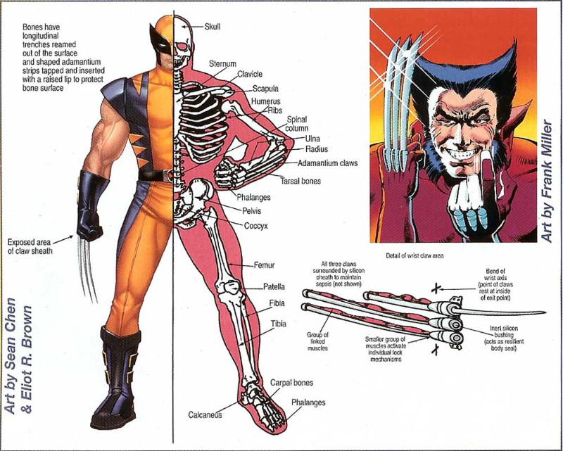 (DOC) Official Handbook of the Marvel Universe: Wolverine 2004 (2004