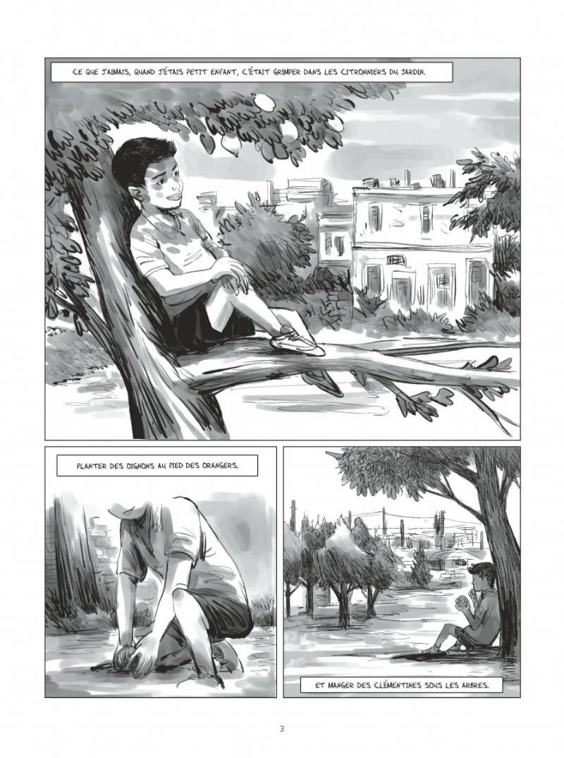 Haytham Une Jeunesse Syrienne Bd Informations Cotes