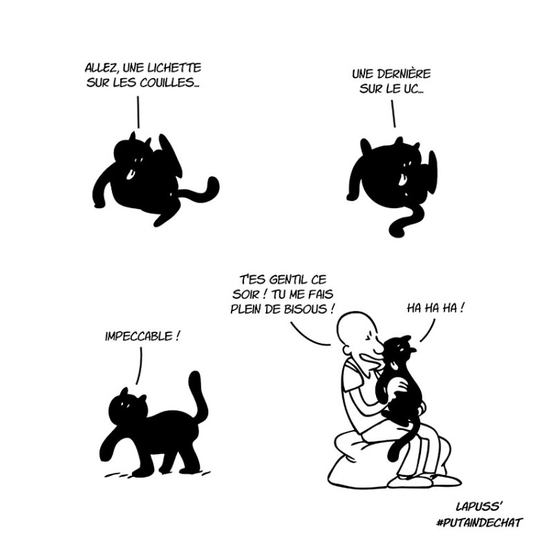 bande dessinee avec un chat