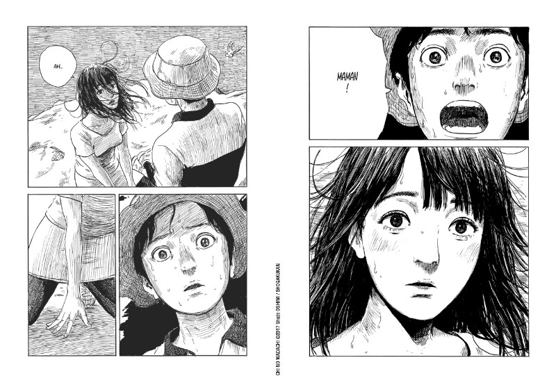 Les liens du sang BD, informations,