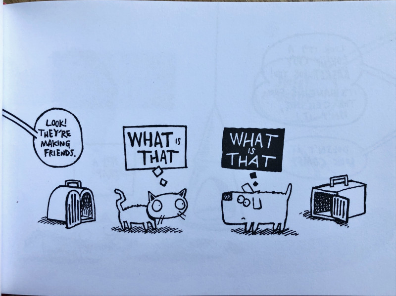 Puppy versus kitten - BD, informations, cotes