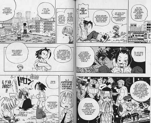 Dossier Shaman King Flowers - TAKEI Hiroyuki - Présentation - Manga news